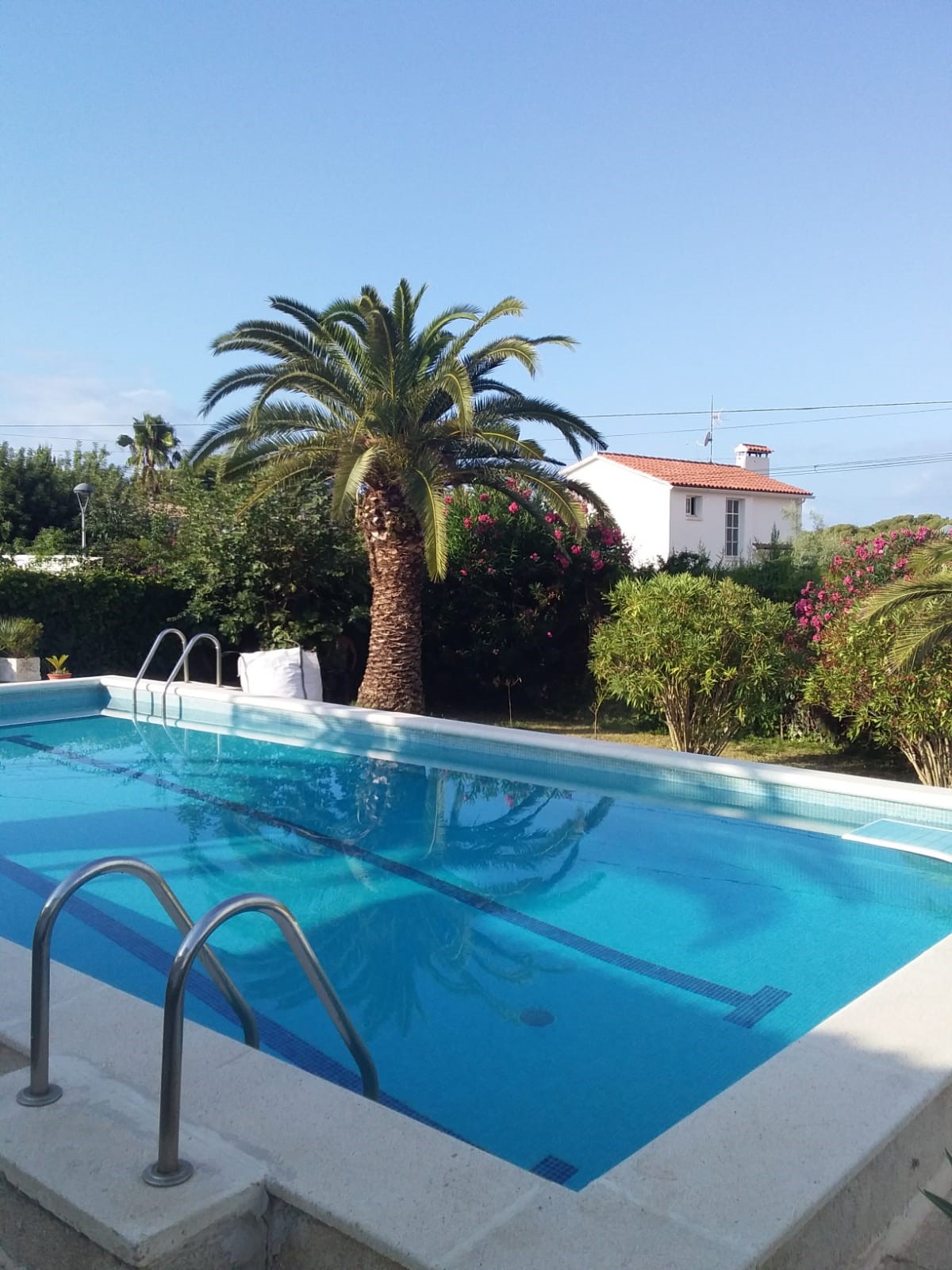 Pool schöner 5 * 10 Meter Pool